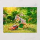 Recherche de tondeuse cartes postales Fleurs