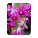 Recherche de orchidée magnets Réfrigérateur