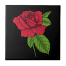 Recherche de peintures de rose rouge carreaux Botanique