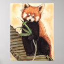 Recherche de panda rouge art Peinture