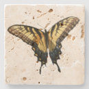Recherche de photos papillons de dessous de verres Nature