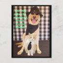 Recherche de buddy posters Humour