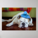 Recherche de bouledogue anglais posters Animaux