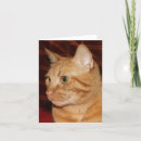 Recherche de profil vœux cartes Tête