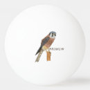 Recherche de oiseaux balles ping pong Oiseau de proie