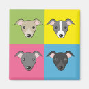 Recherche de whippets magnets Mignon