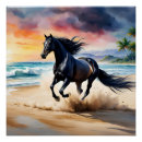 Recherche de étalon noir posters Cheval