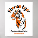 Recherche de endangered posters Tiger