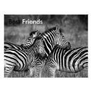 Recherche de animal noir blanc zebre posters Zèbre