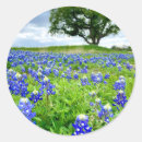 Recherche de belles fleurs autocollants Printemps