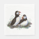 Recherche de macareux serviettes Oiseau