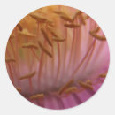 Recherche de pollen autocollants Floral