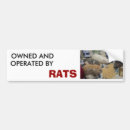 Recherche de rats voiture autocollants Pare chocs