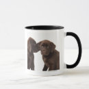 Recherche de chien tasses Photographie
