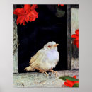 Recherche de albinos art Oiseau