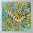 Recherche de peinture papillon posters Faune