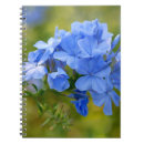 Recherche de fleurit des images Floral