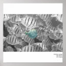 Recherche de foule posters Nature