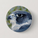 Recherche de fauconnerie badges Oiseau de proie