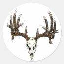 Recherche de cerf de virginie autocollants Chasse
