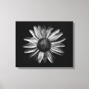 Recherche de fleurs noires et blanches toiles Pour tous