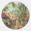 Recherche de haeckel autocollants Kunstformen der natur