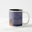 Recherche de loutres tasses Patte
