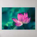 Recherche de chinoises posters Porcelaine