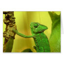 Recherche de de caméléon Changement