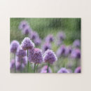 Recherche de trèfle puzzles Fleurs