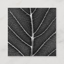 Recherche de photographie noire et blanche cartes visite Nature