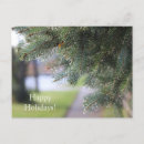 Recherche de bouteur cartes postales Paysage