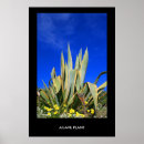 Recherche de agave posters Bleu