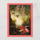 Recherche de orchidée rose cartes postales Colibri