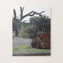 Recherche de arbre mort Paysage