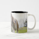 Recherche de curieux tasses Horizontal