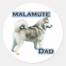 Recherche de alaskan malamute autocollants Chien
