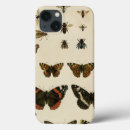 Recherche de insectes de jardin Animaux