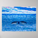 Recherche de queue baleines posters Baleine à bosse