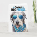 Recherche de wolfhound Loup irlandais