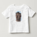 Recherche de gaulois tshirts Âge