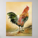 Recherche de rooster posters Bird