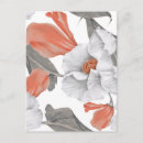 Recherche de lis blanc cartes postales Calla