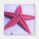 Recherche de créatures magnets Plage