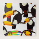 Recherche de oiseaux tropicaux puzzles Feuille