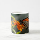 Recherche de papillon orange tasses Moderne