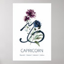 Recherche de capricorn posters Anniversaire