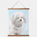 Recherche de coton art Coton de tulear