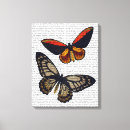 Recherche de mouche art Papillon