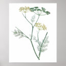 Recherche de feuilles verts posters Plante